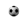 Futbalová lopta